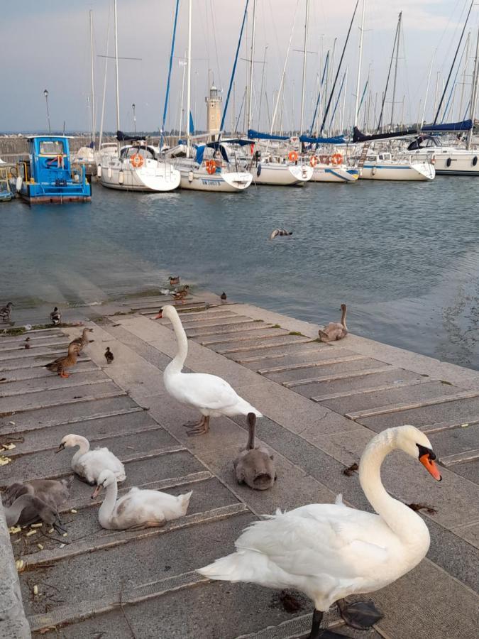 Villa Elisa Lago E Monti Carzago Riviera Εξωτερικό φωτογραφία