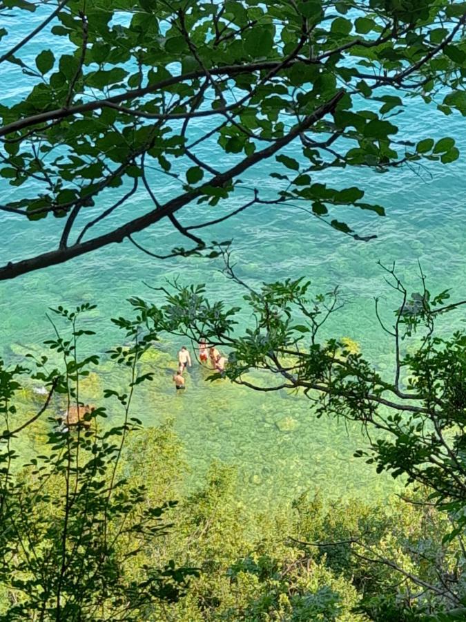 Villa Elisa Lago E Monti Carzago Riviera Εξωτερικό φωτογραφία